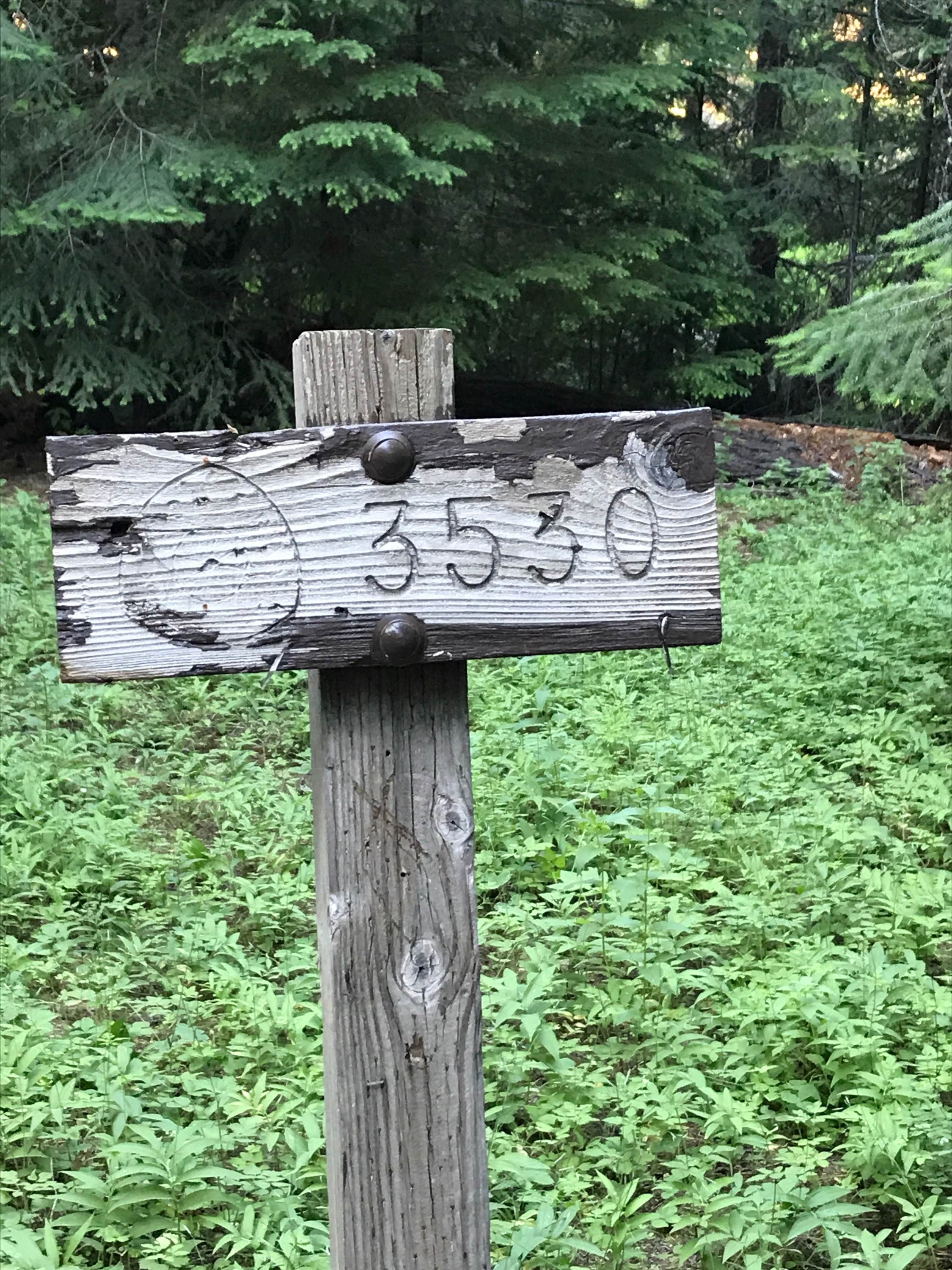 Camper submitted image from Forest Creek - 3