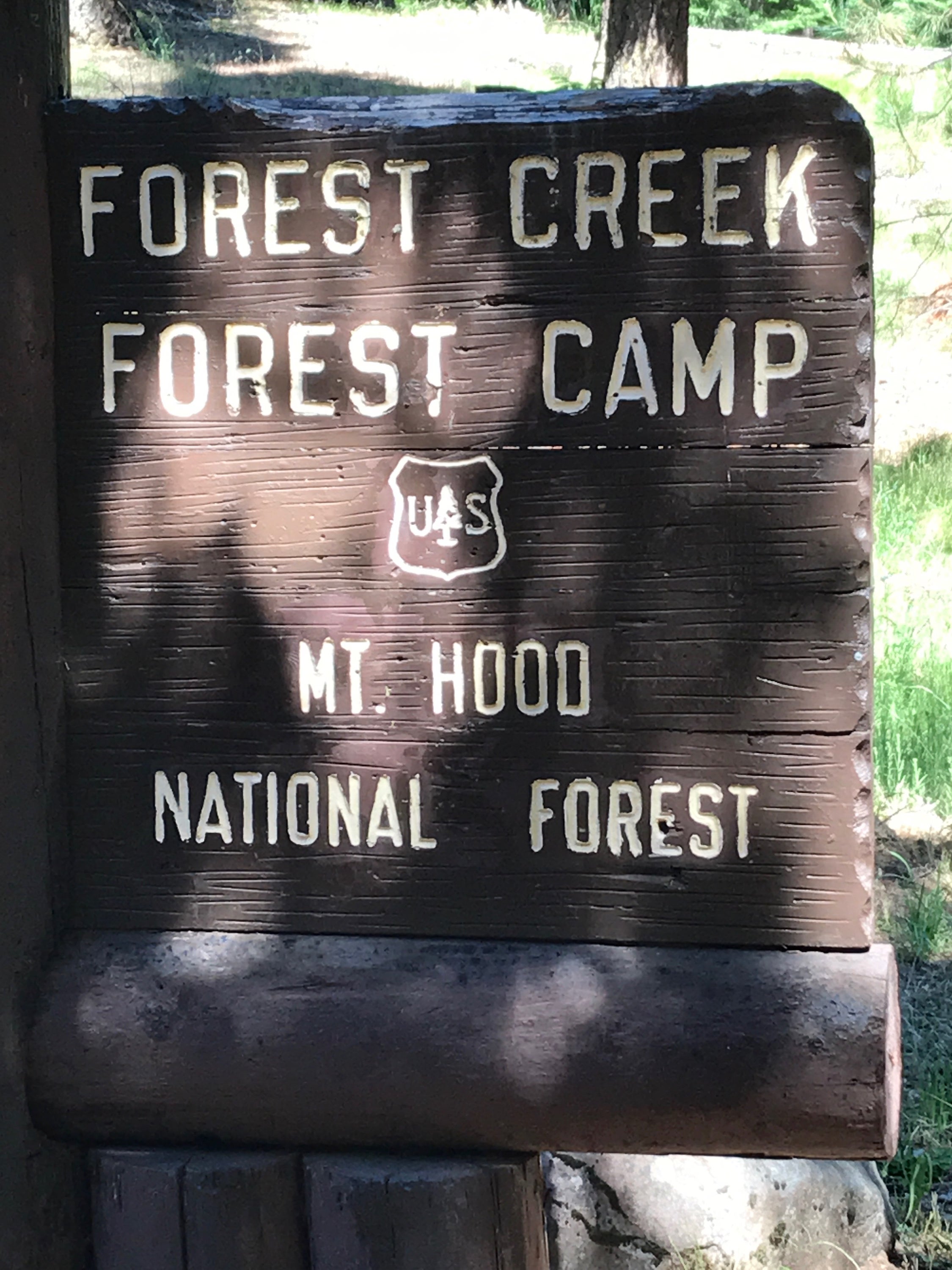 Camper submitted image from Forest Creek - 5