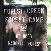 Review photo of Forest Creek by Mikayle S., June 9, 2018