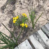 Review photo of Hoeft State Park Campground by Kathie M., June 11, 2021