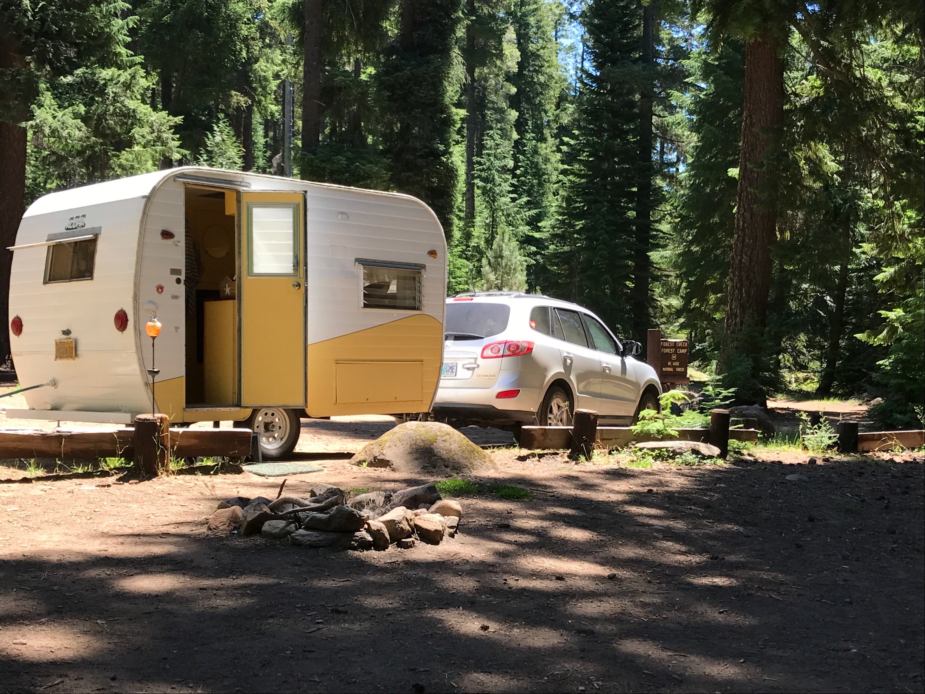 Camper submitted image from Forest Creek - 4