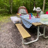 Review photo of Spruce Knob Lake Campground by Melanie , June 11, 2021
