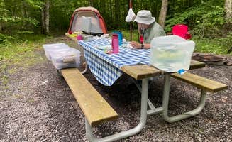 Melanie's photo at Spruce Knob Lake Campground near Glady, WV