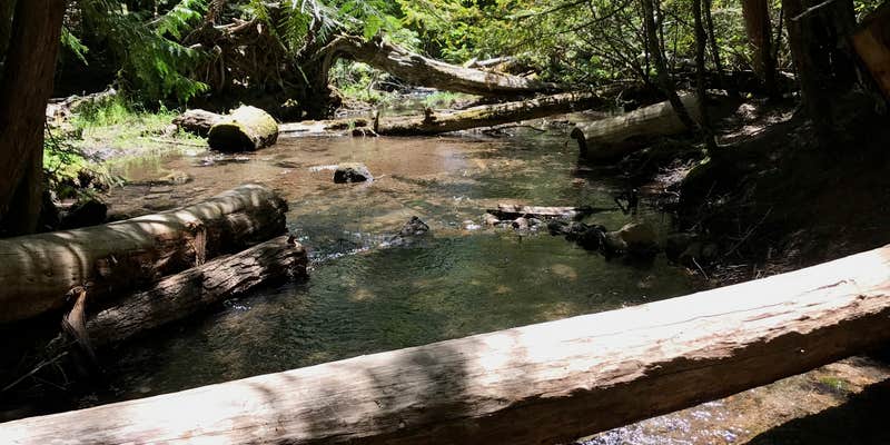 Camper submitted image from Forest Creek