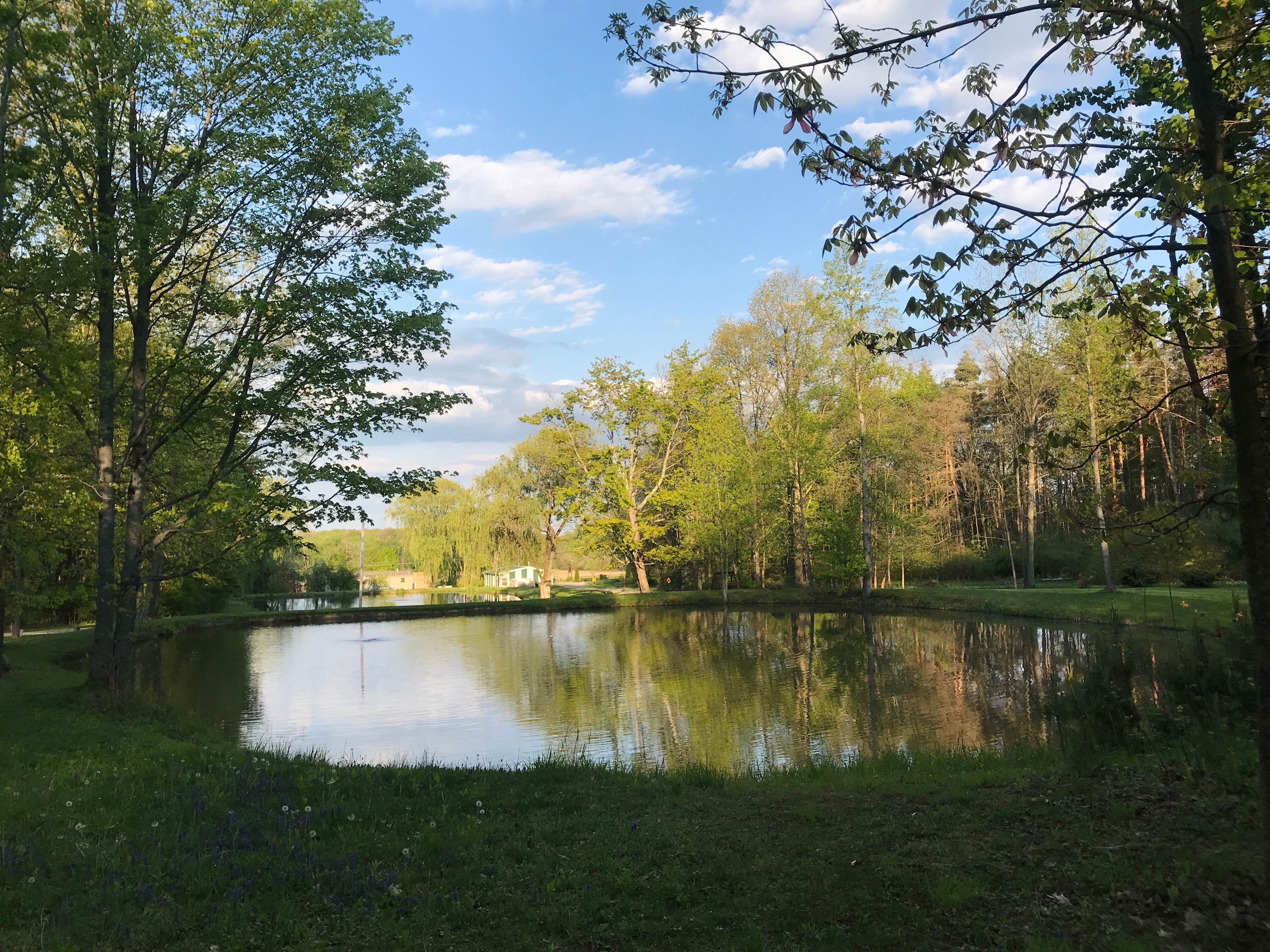 Camper-submitted photo at Pineview Camplands near Linesville, PA