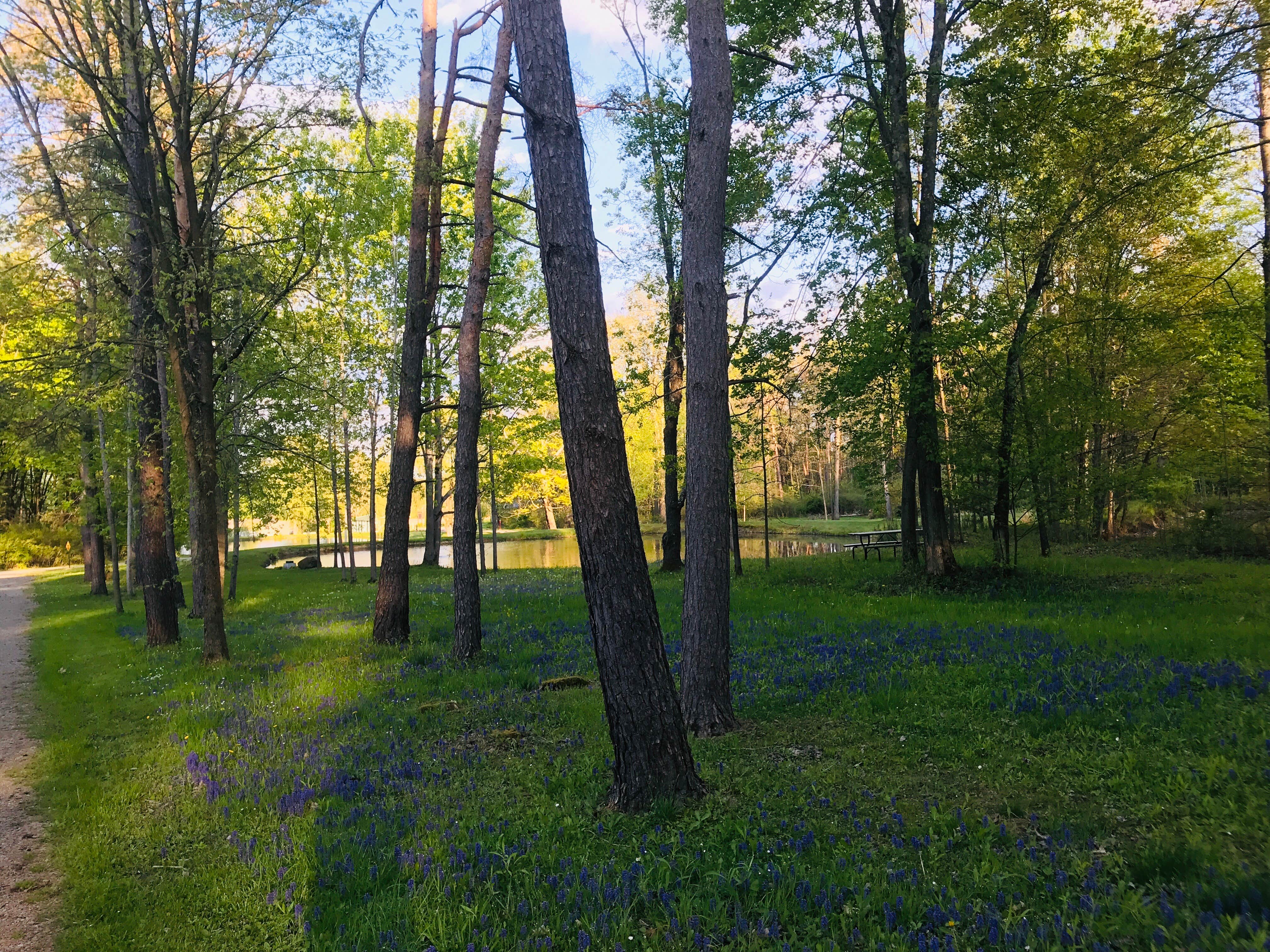Camper-submitted photo at Pineview Camplands near Linesville, PA