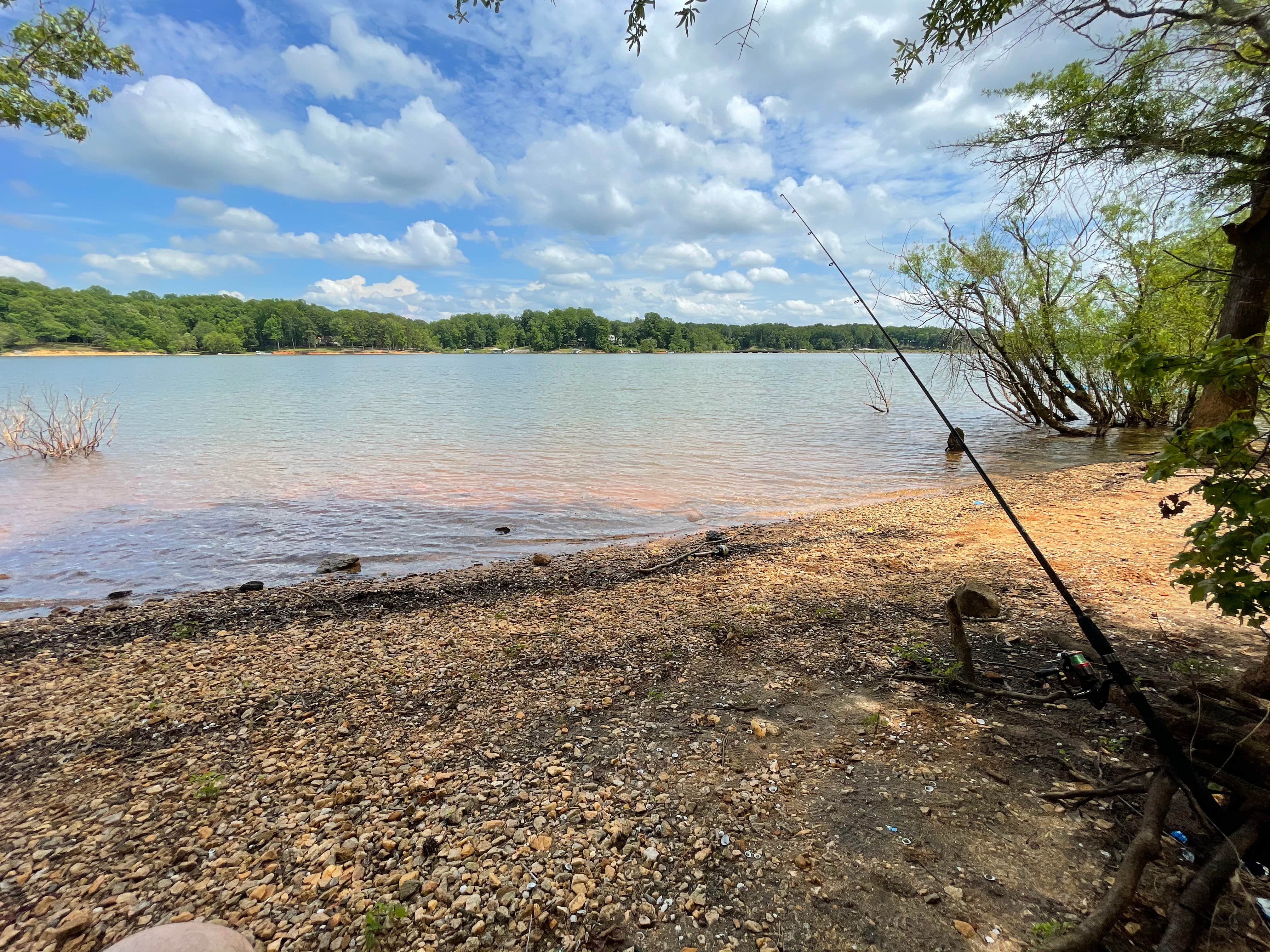Camper submitted image from Nutbush Bridge Campground — Kerr Lake State Recreation Area - 5