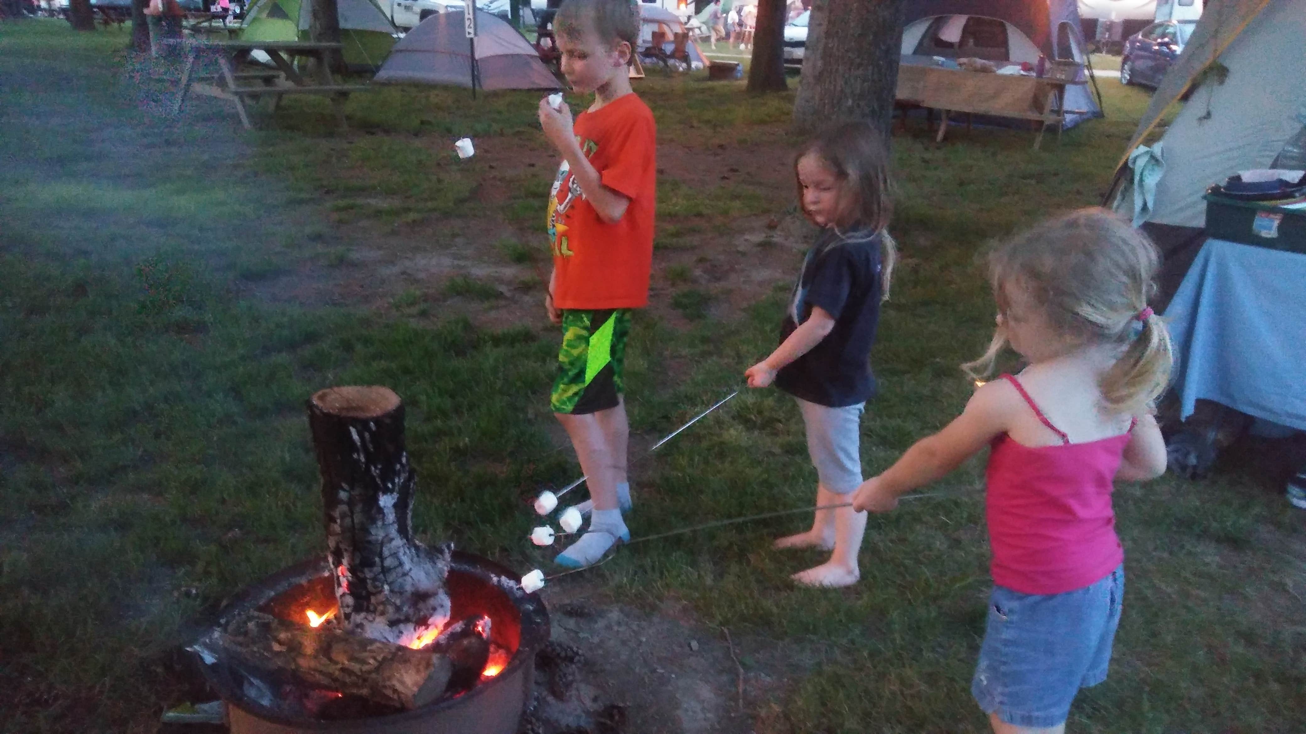 Camper submitted image from Crystal Rock Campground - Sandusky, OH - 3