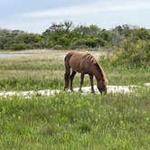 Review photo of Assateague State Park Campground by Melanie , June 11, 2021