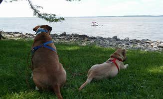 b K.'s photo of camping with pets at Boulder Rec. Area - COE Campground near Altamont, IL