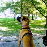 Review photo of Boulder Rec. Area - COE Campground by b K., June 12, 2021