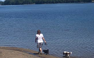 Tara N.'s photo of camping with pets at Scaroon Manor Campground near Adirondack, NY