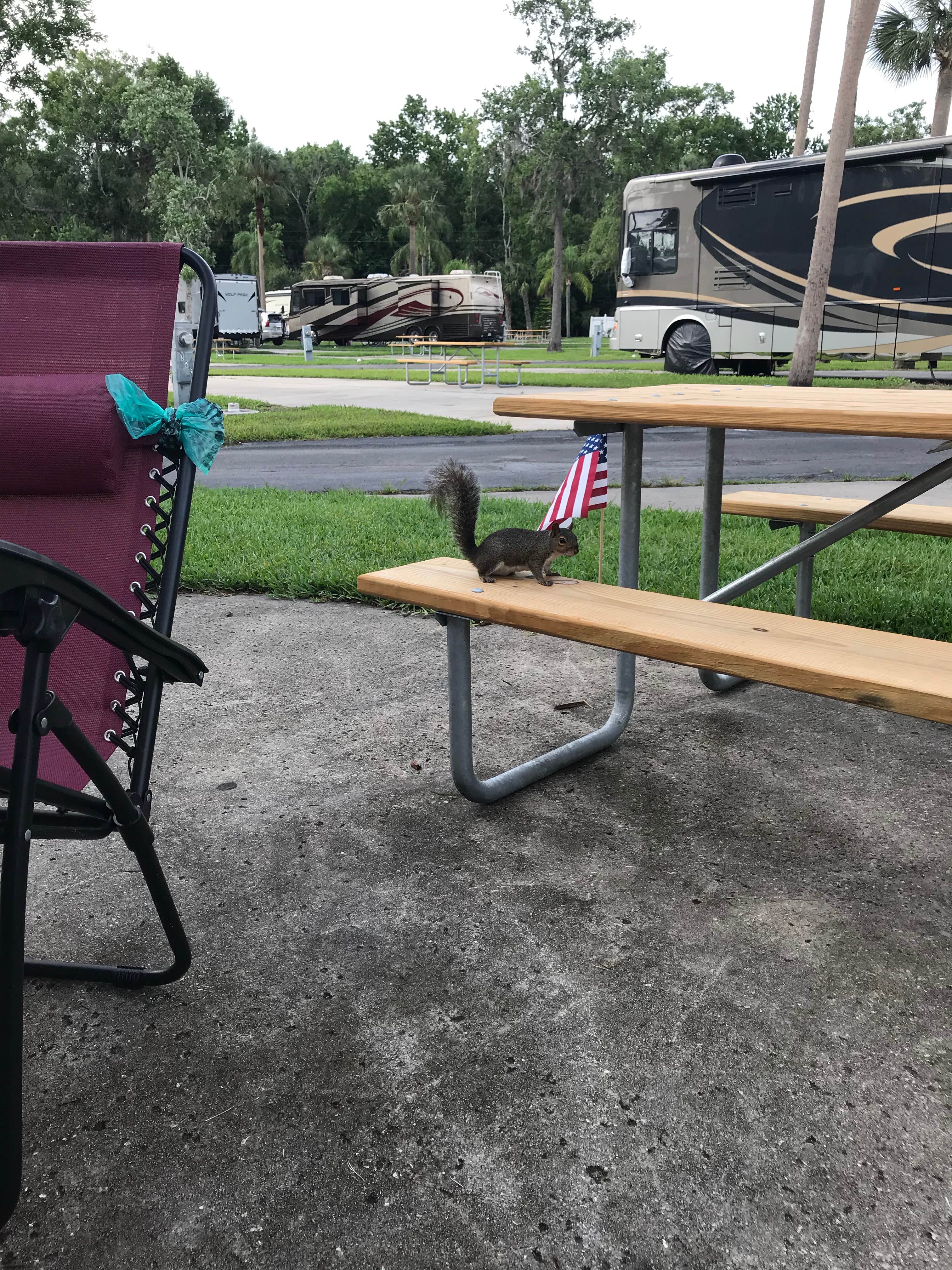 Sharon H.'s photo of rv camping at Encore Tropical Palms near Kenansville, FL