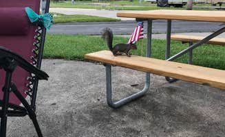 Sharon H.'s photo of rv camping at Encore Tropical Palms near Lakeshore, FL