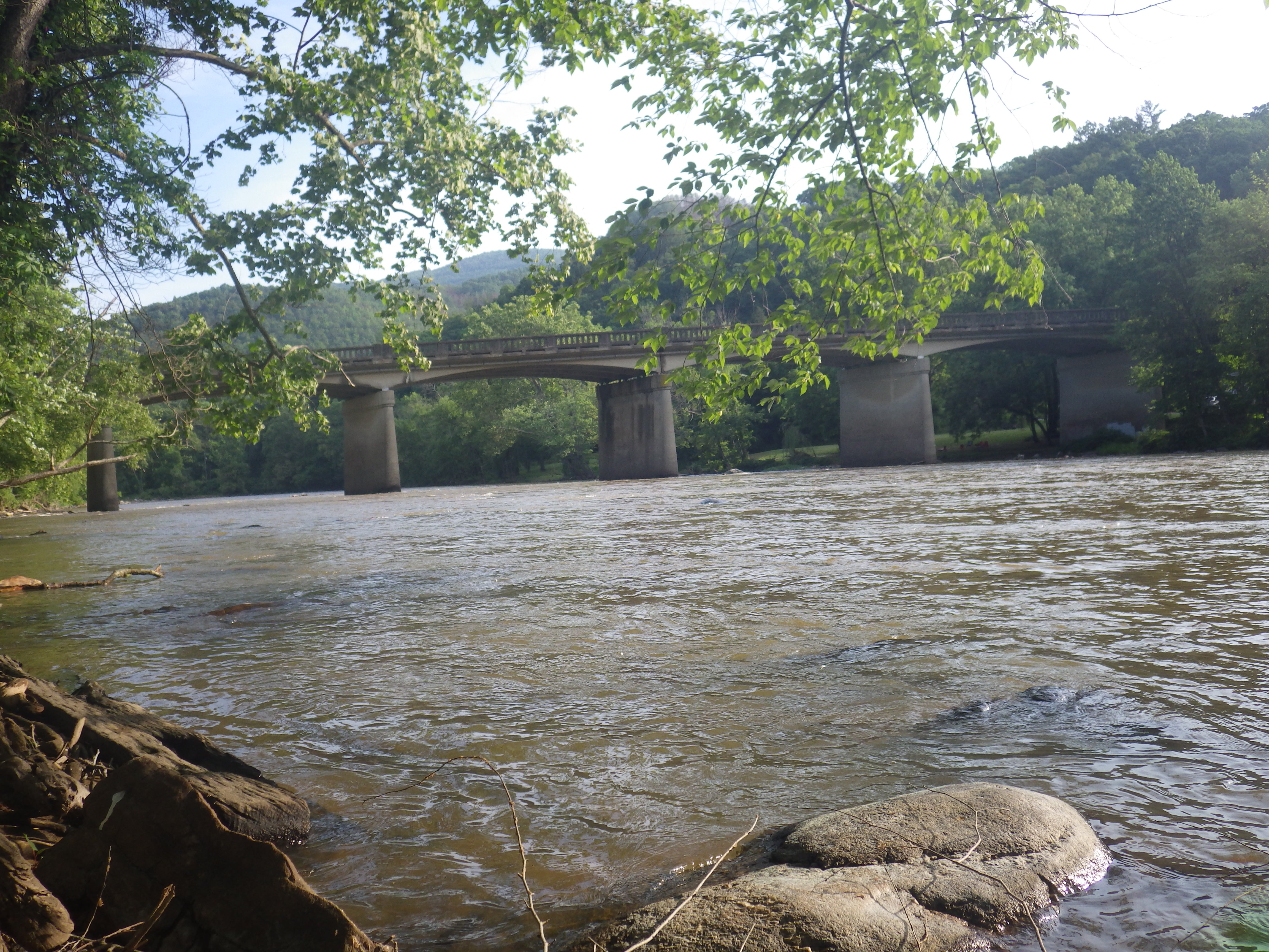 Camper submitted image from French Broad River Campground - Permanently Closed - 2