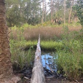 Review photo of Skidaway Island State Park Campground by Mark L., June 12, 2021