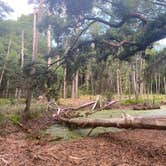 Review photo of Skidaway Island State Park Campground by Mark L., June 12, 2021