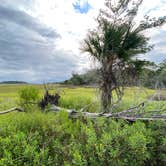 Review photo of Skidaway Island State Park Campground by Mark L., June 12, 2021