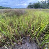 Review photo of Skidaway Island State Park Campground by Mark L., June 12, 2021