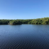 Review photo of Pine Grove Campground — Jonathan Dickinson State Park by Rhea , June 12, 2021