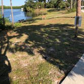 Review photo of Pine Grove Campground — Jonathan Dickinson State Park by Rhea , June 12, 2021