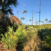 Review photo of Pine Grove Campground — Jonathan Dickinson State Park by Rhea , June 12, 2021