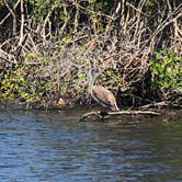 Review photo of Pine Grove Campground — Jonathan Dickinson State Park by Rhea , June 12, 2021