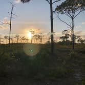 Review photo of Pine Grove Campground — Jonathan Dickinson State Park by Rhea , June 12, 2021