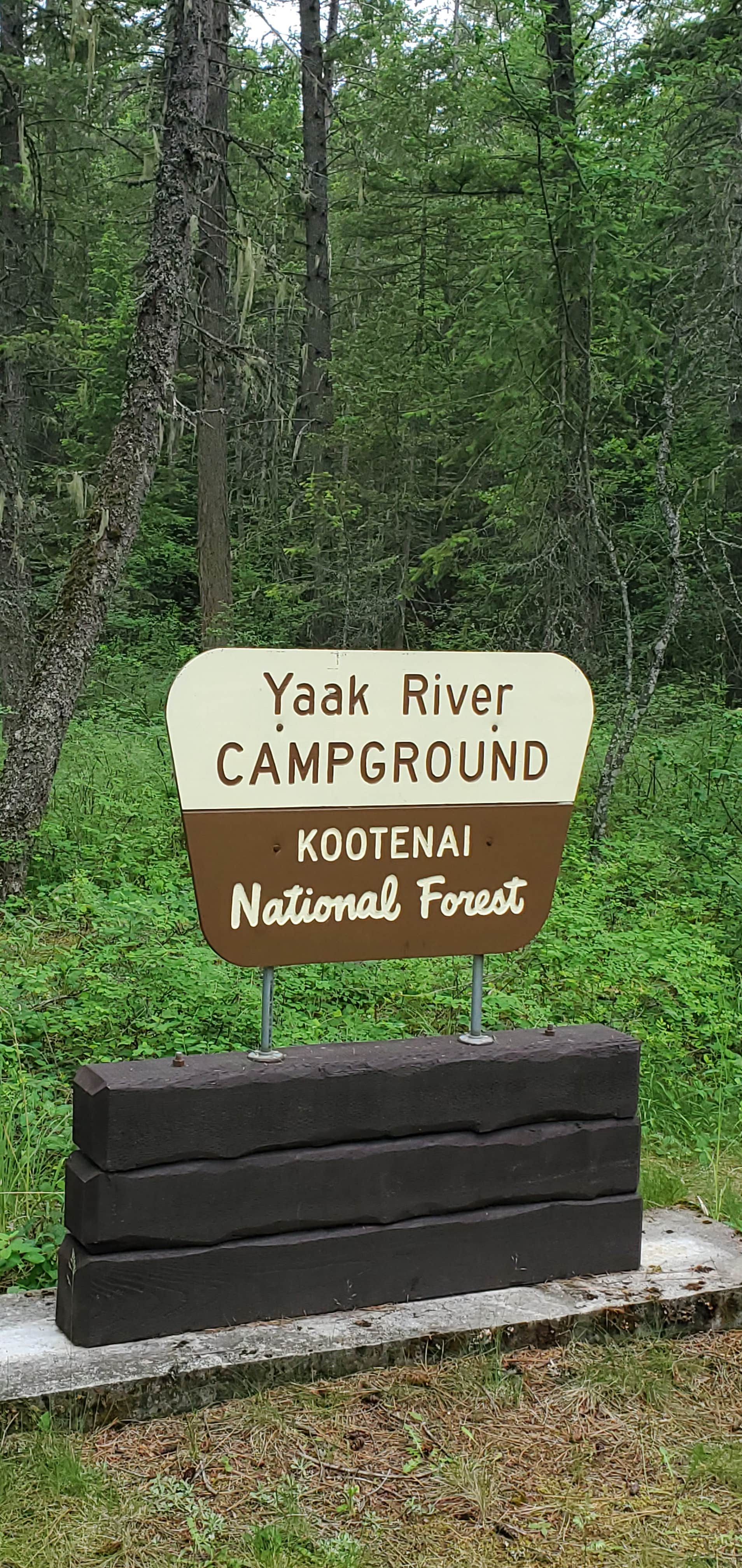 Camper submitted image from Yaak River Campground - 2