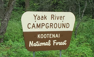 Camper-submitted photo from Yaak River Campground