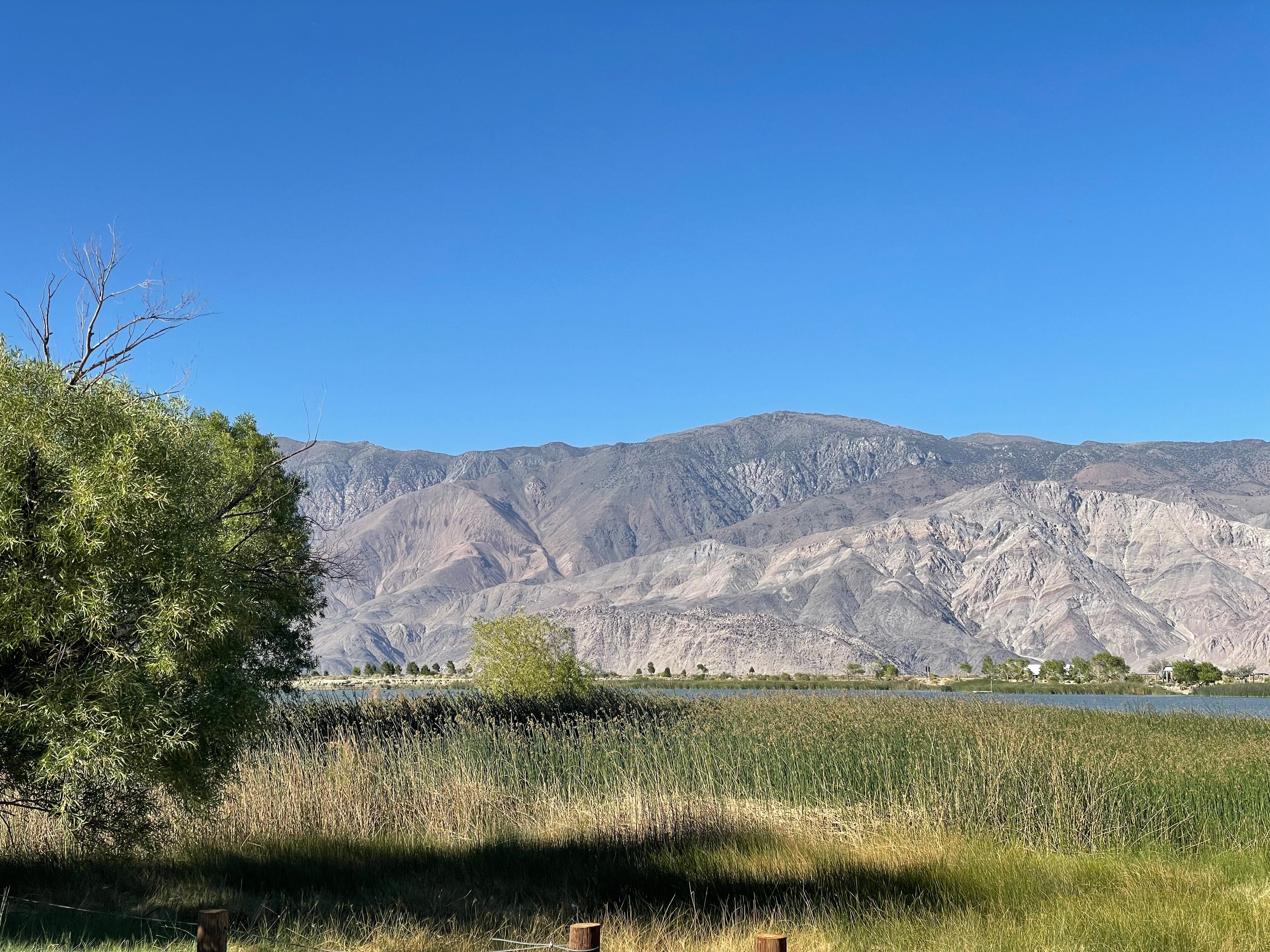 Camper submitted image from Inyo County Diaz Lake Campground - 3