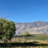 Review photo of Inyo County Diaz Lake Campground by erin T., June 12, 2021