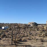 Review photo of Mojave Cross Dispersed — Mojave National Preserve by Jenn , June 12, 2021