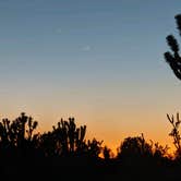 Review photo of Mojave Cross Dispersed — Mojave National Preserve by Jenn , June 12, 2021