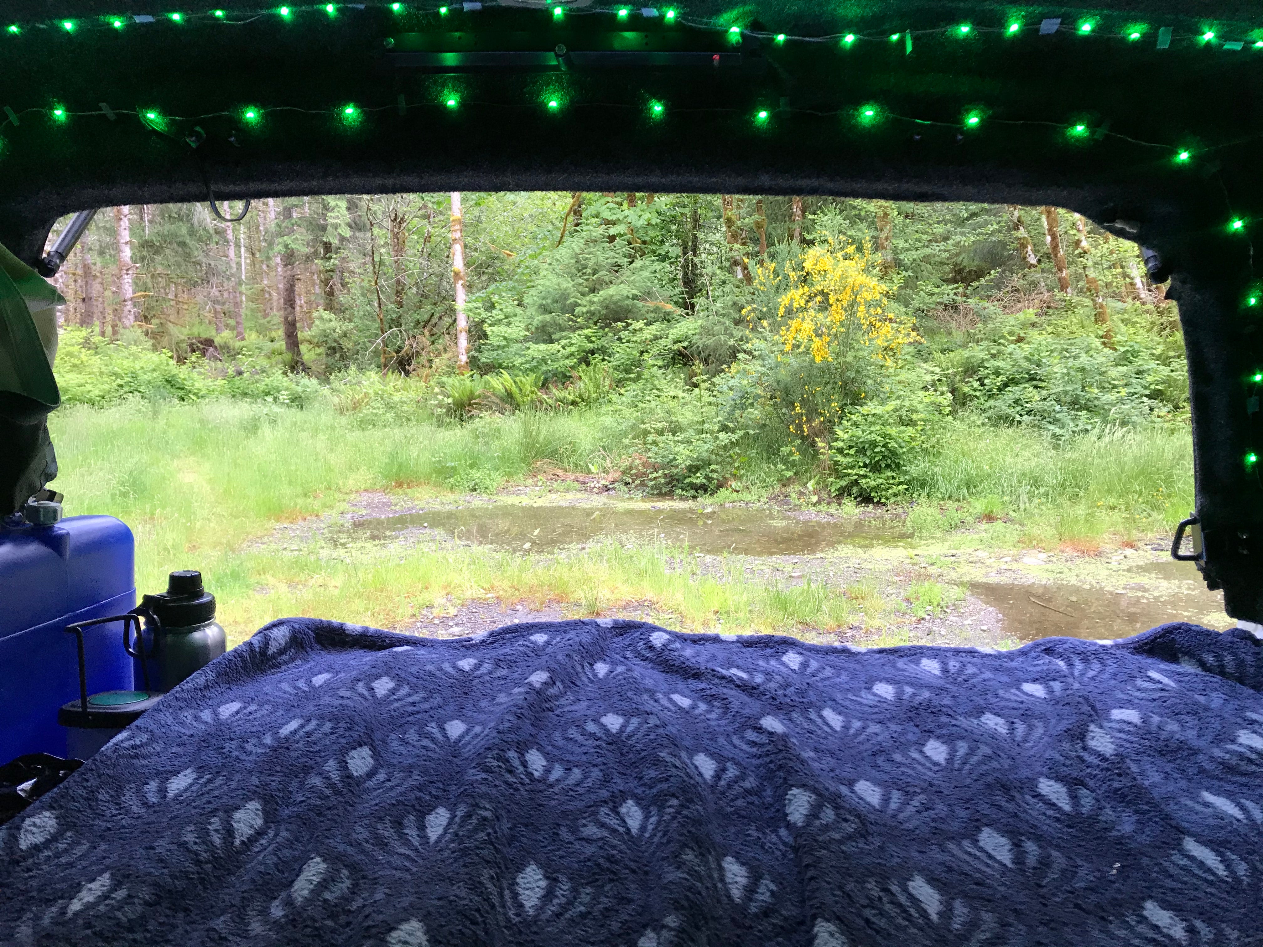 Camper submitted image from Cardlin Run — Olympic National Park - 3