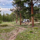 Review photo of Olive Ridge by gail A., June 12, 2021