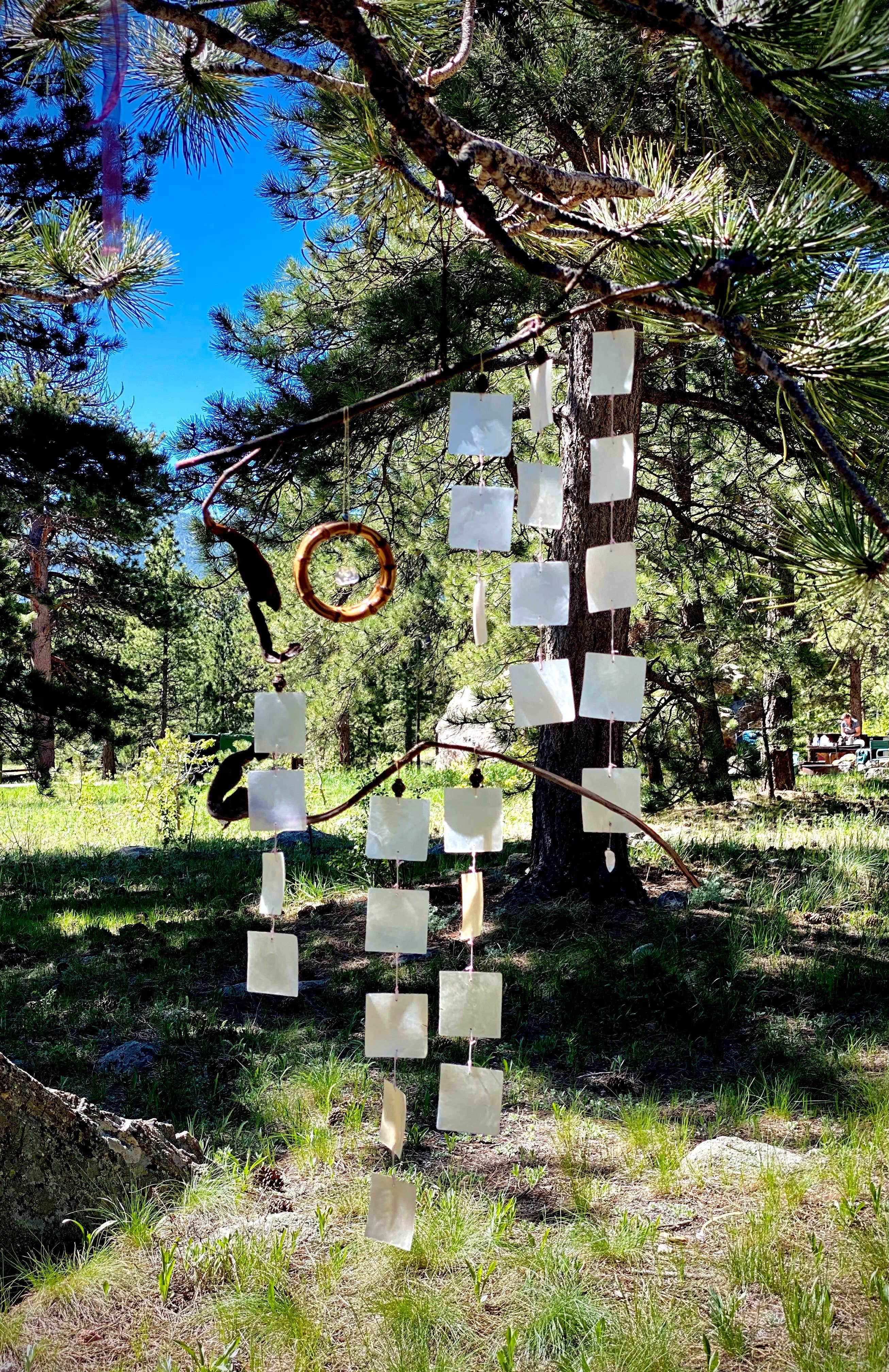 Camper submitted image from Olive Ridge - 4