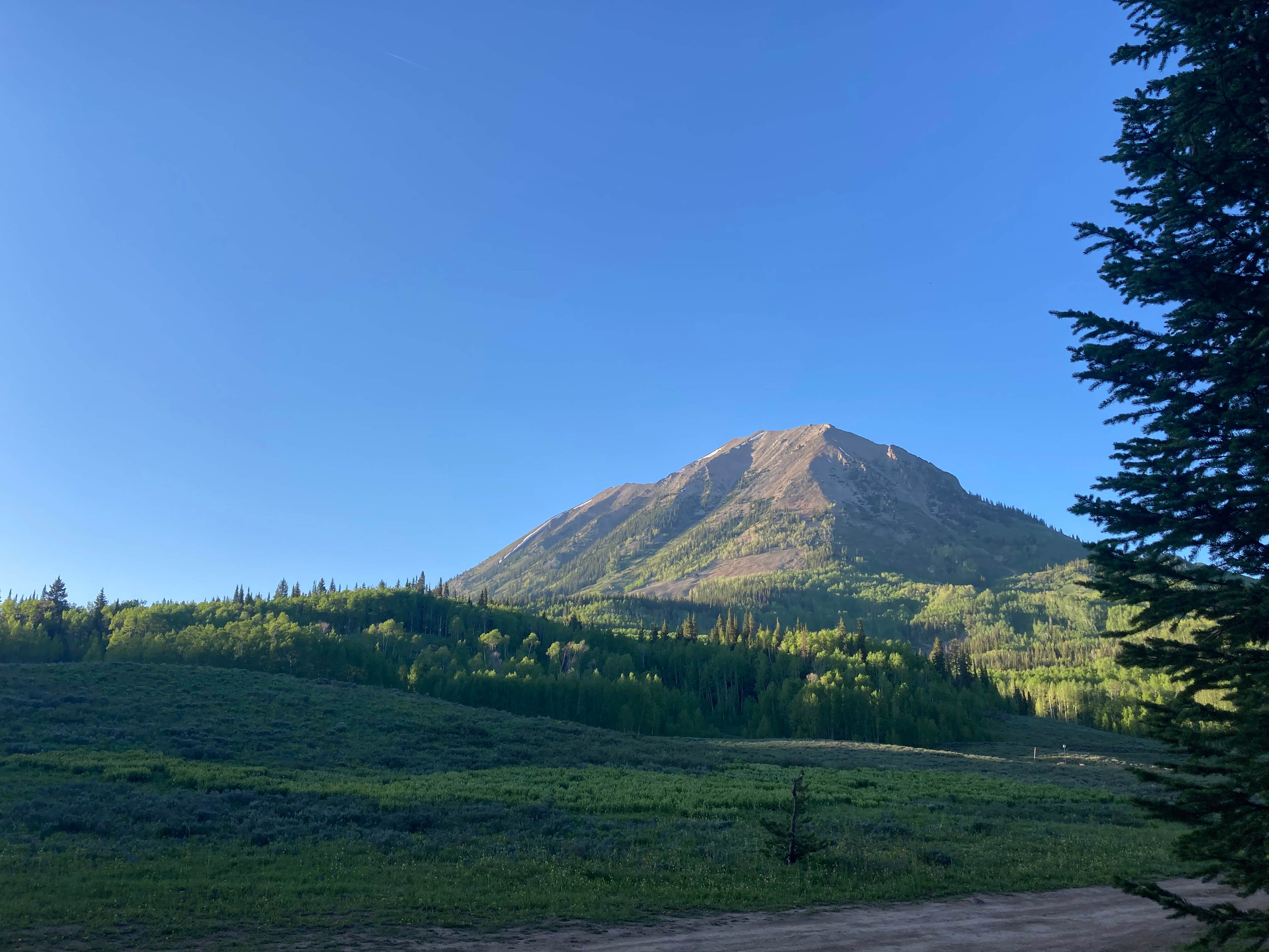 Camper submitted image from Washington Gulch Dispersed Camping - PERMANENTLY CLOSED - 3