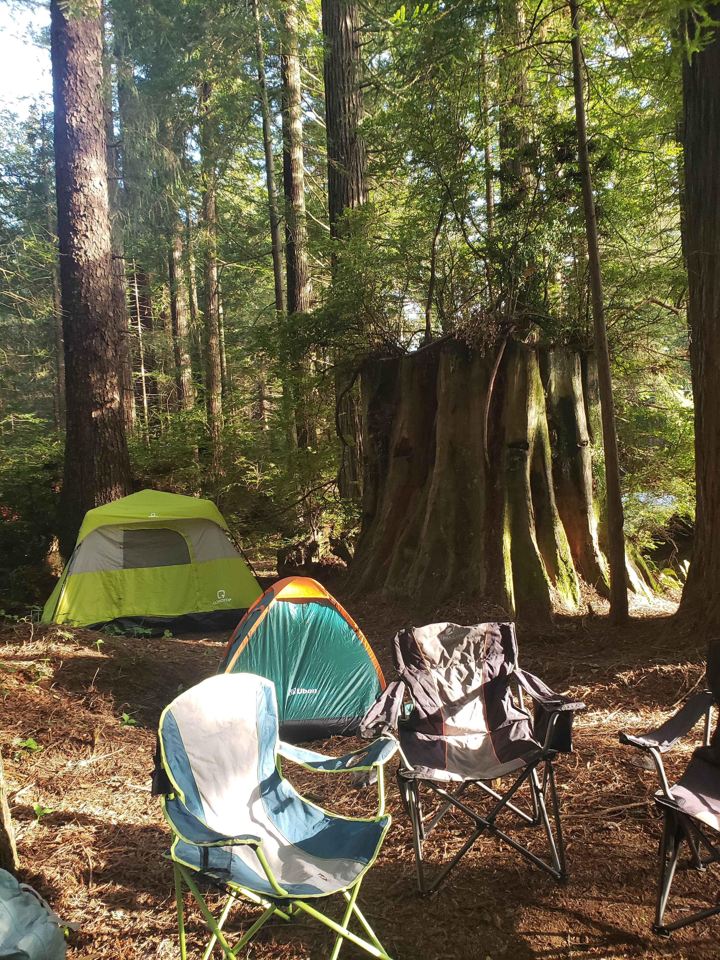 Jeremiah H.'s photo at Florence Keller Regional Park near Smith River, CA