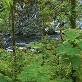 Review photo of Panther Camp — Ross Lake National Recreation Area by Jeremiah H., June 12, 2021