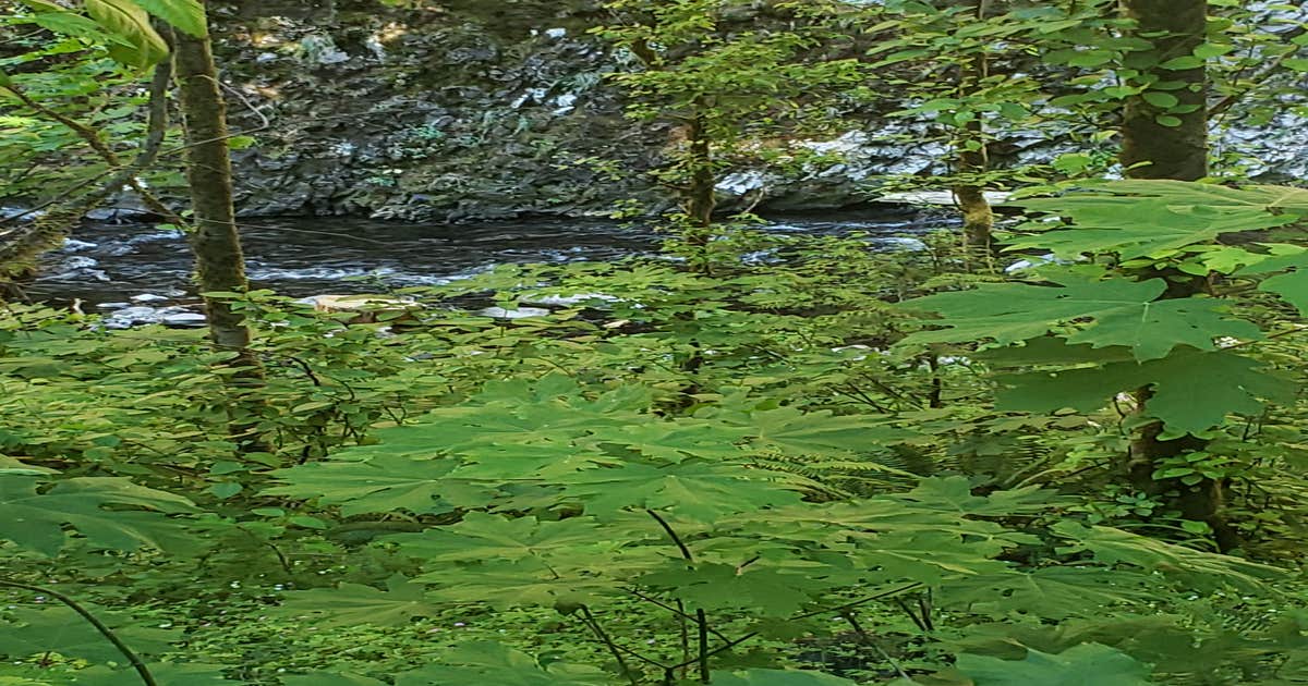 Panther Camp — Ross Lake National Recreation Area