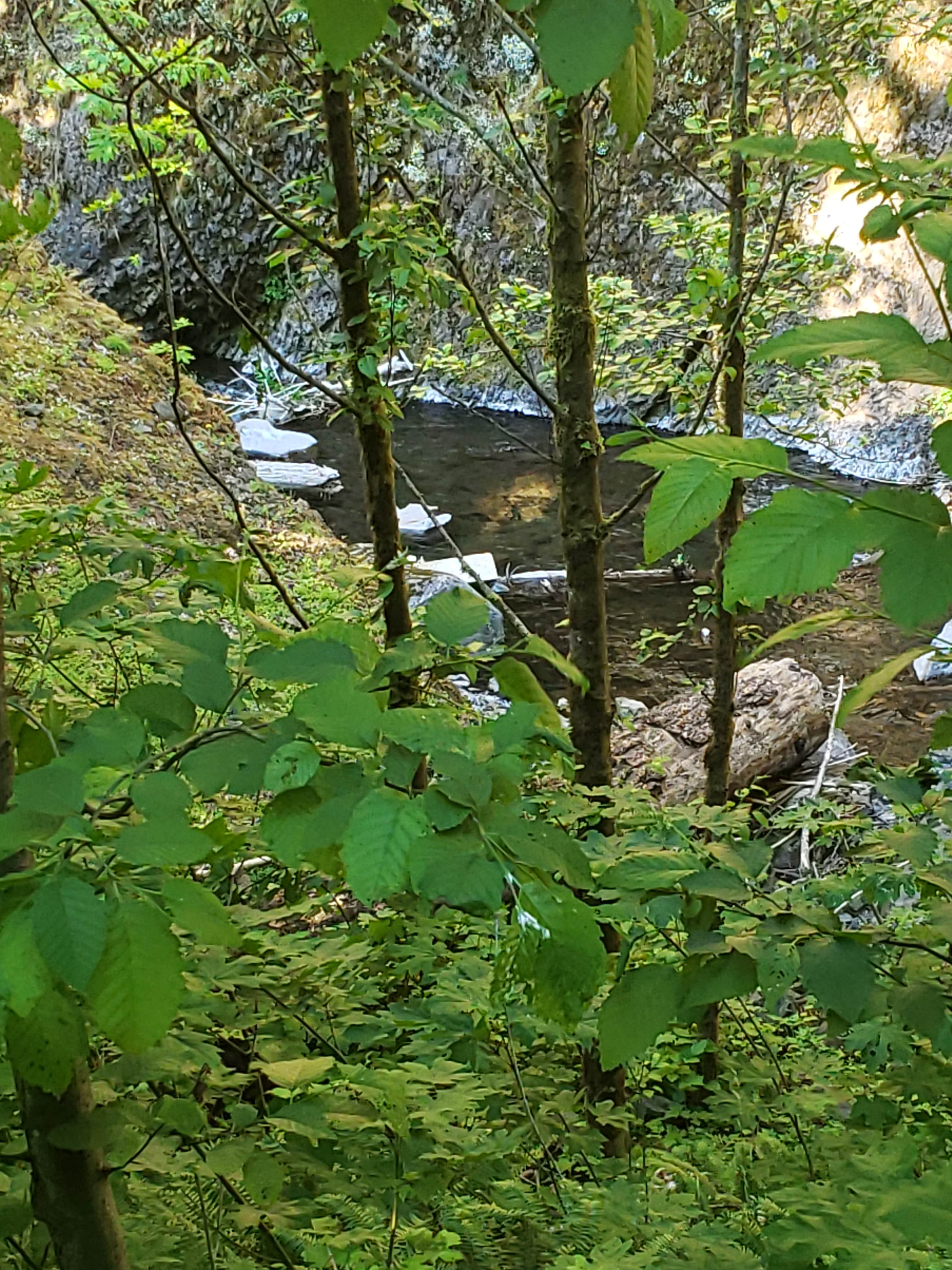 Camper-submitted photo at Panther Camp — Ross Lake National Recreation Area near North Cascades National Park