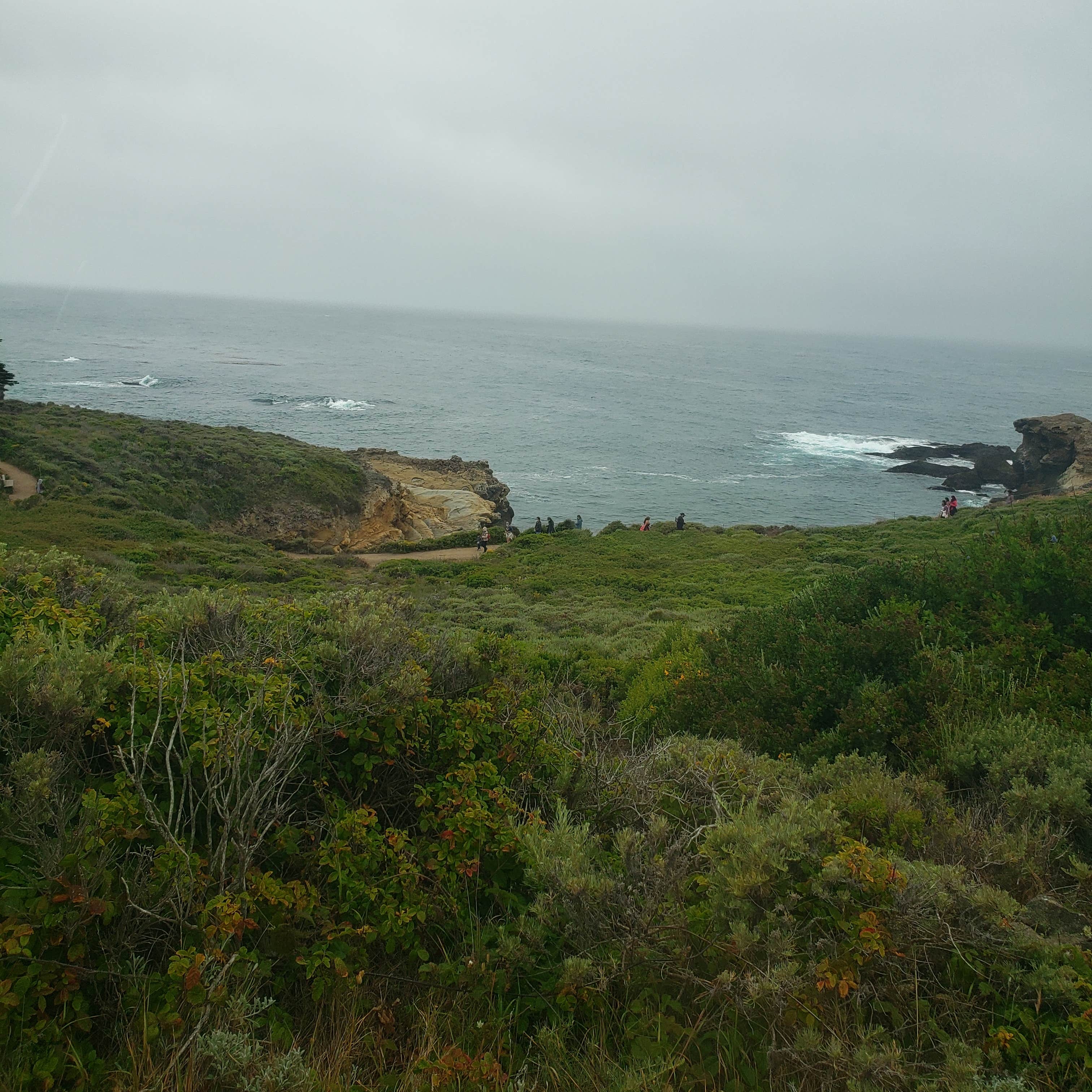 Carmel by the River RV Park Camping The Dyrt