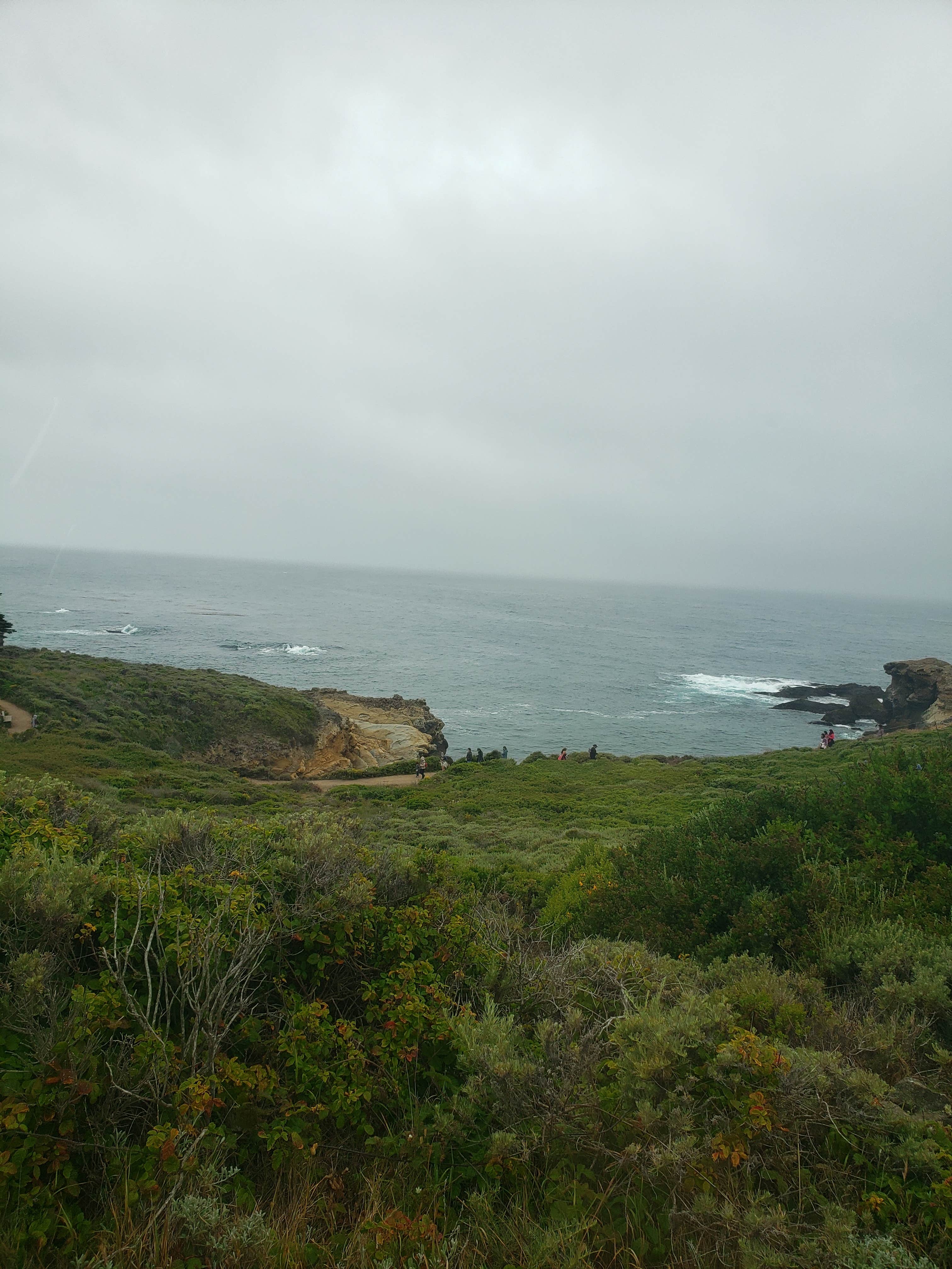 Carmel by the River RV Park Camping The Dyrt