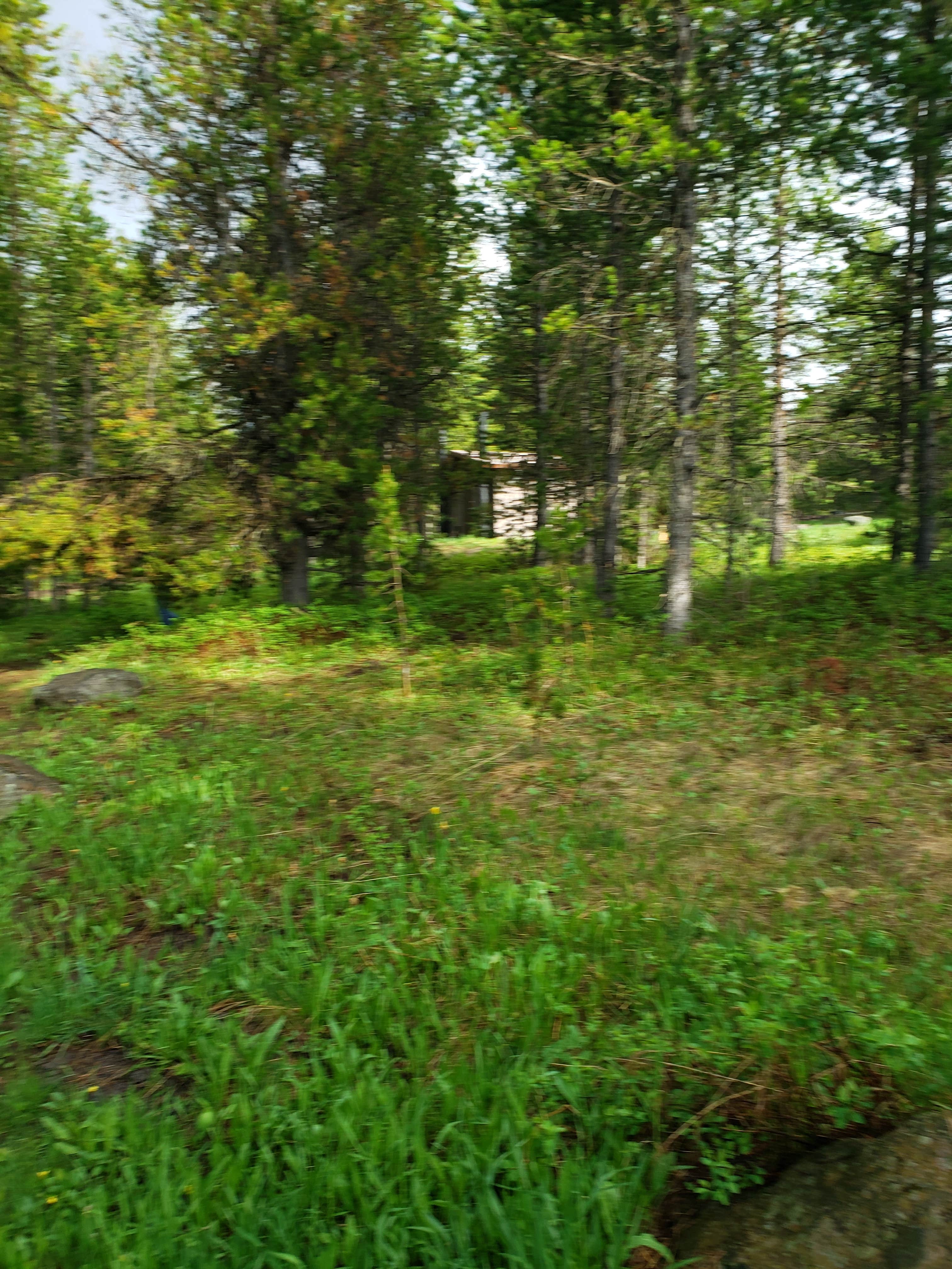 Flat Rock (idaho) The Dyrt