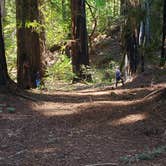 Review photo of Richardson Grove State Park Campground by Jeremiah H., June 12, 2021