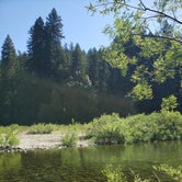 Review photo of Richardson Grove State Park Campground by Jeremiah H., June 12, 2021