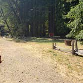 Review photo of Richardson Grove State Park Campground by Jeremiah H., June 12, 2021