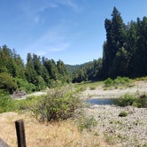 Review photo of Richardson Grove State Park Campground by Jeremiah H., June 12, 2021