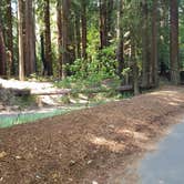 Review photo of Richardson Grove State Park Campground by Jeremiah H., June 12, 2021